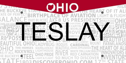 TESLAY Ohio License Plate