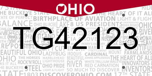 TG42123 Ohio License Plate