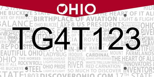 TG4T123 Ohio License Plate