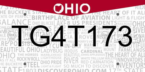 TG4T173 Ohio License Plate