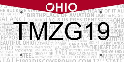 TMZG19 Ohio License Plate