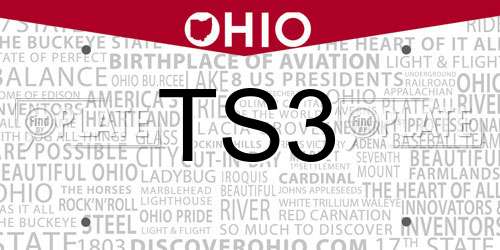 TS3 Ohio License Plate