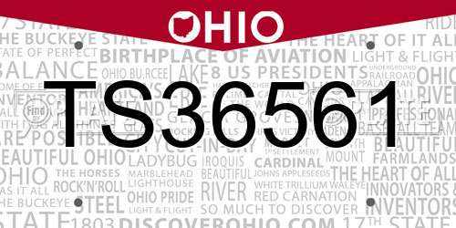 TS36561 Ohio License Plate