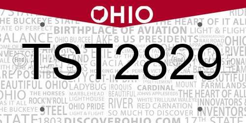 TST2829 Ohio License Plate