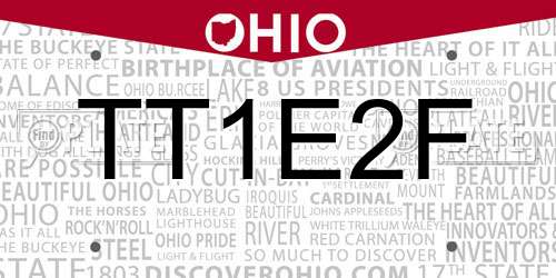 TT1E2F Ohio License Plate