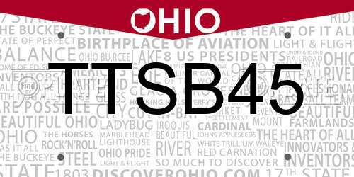 TTSB45 Ohio License Plate