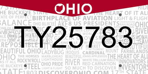 TY25783 Ohio License Plate