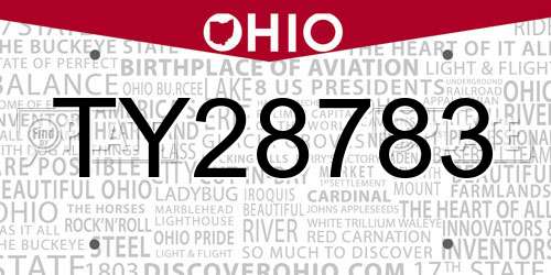 TY28783 Ohio License Plate