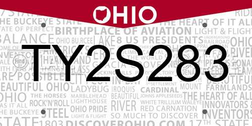 TY2S283 Ohio License Plate