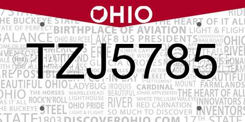 TZJ5785 Ohio License Plate