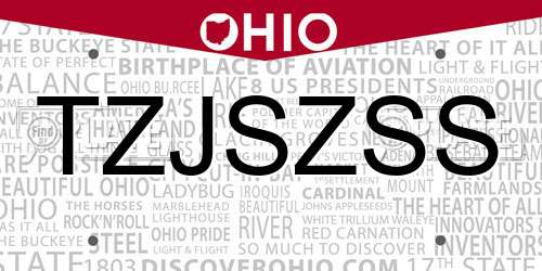 TZJSZSS Ohio License Plate