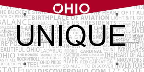 UNIQUE Ohio License Plate