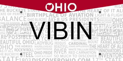 VIBIN Ohio License Plate