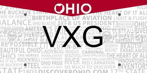 VXG Ohio License Plate