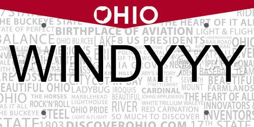 WINDYYY Ohio License Plate