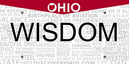 WISDOM Ohio License Plate