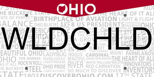 WLDCHLD Ohio License Plate