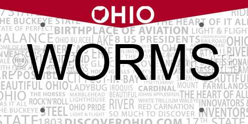 WORMS Ohio License Plate