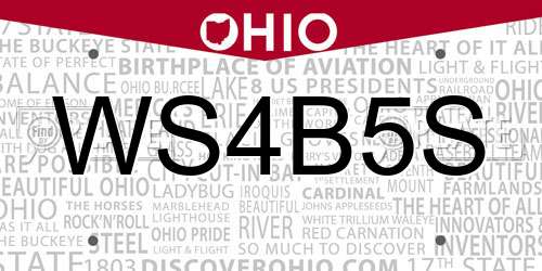 WS4B5S Ohio License Plate