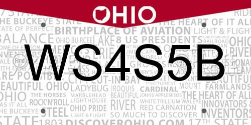 WS4S5B Ohio License Plate