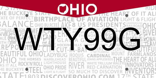 WTY99G Ohio License Plate