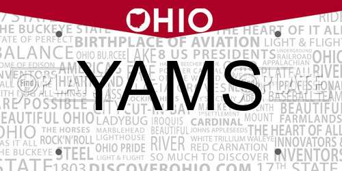 YAMS Ohio License Plate