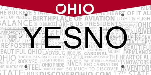 YESNO Ohio License Plate