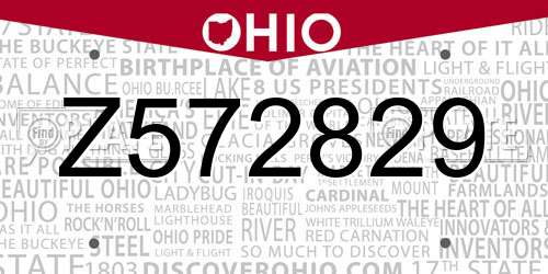 Z572829 Ohio License Plate