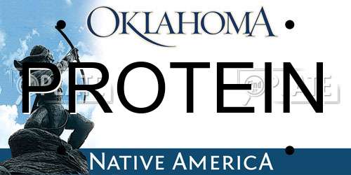 PROTEIN Oklahoma License Plate