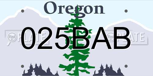 025BAB Oregon License Plate