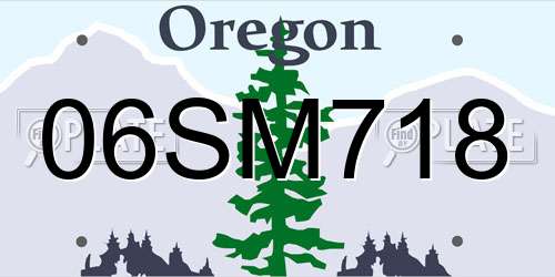 06SM718 Oregon License Plate