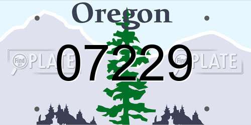 07229 Oregon License Plate