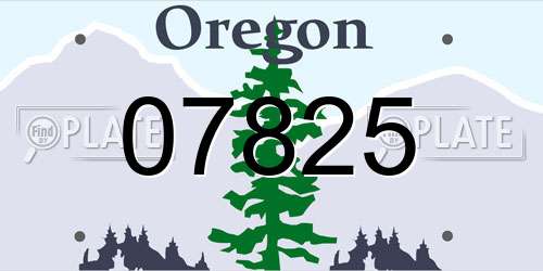 07825 Oregon License Plate