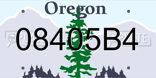 08405B4 Oregon License Plate