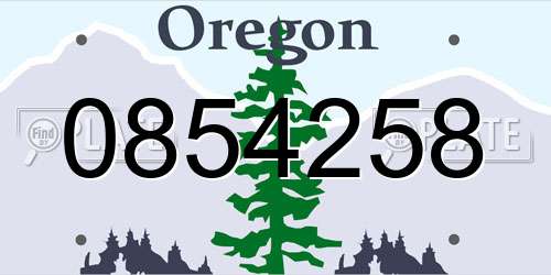 0854258 Oregon License Plate