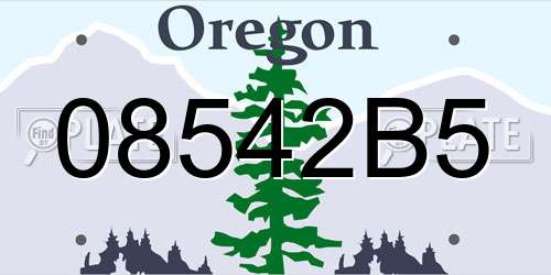 08542B5 Oregon License Plate