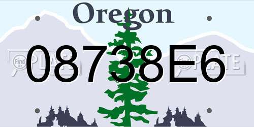 08738E6 Oregon License Plate