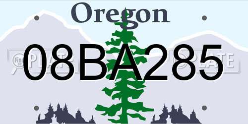 08BA285 Oregon License Plate