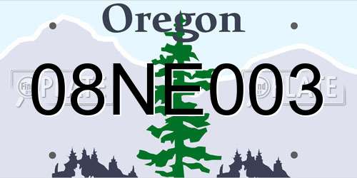 08NE003 Oregon License Plate