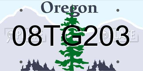 08TG203 Oregon License Plate