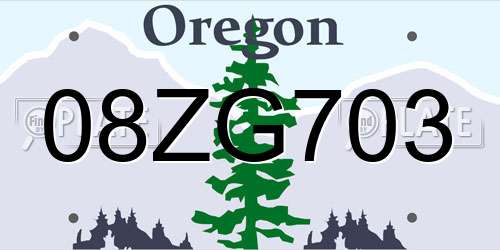 08ZG703 Oregon License Plate