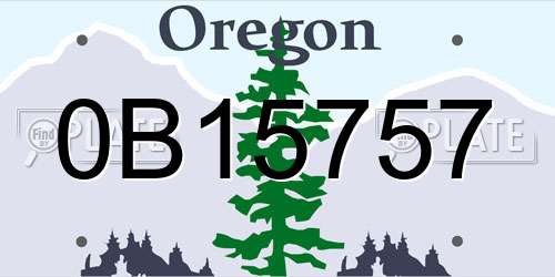 0B15757 Oregon License Plate