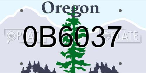 0B6037 Oregon License Plate