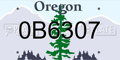 0B6307 Oregon License Plate