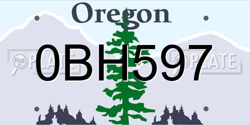 0BH597 Oregon License Plate