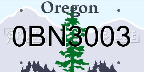 0BN3003 Oregon License Plate