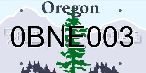0BNE003 Oregon License Plate
