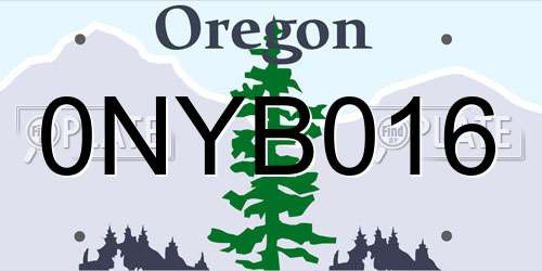 0NYB016 Oregon License Plate