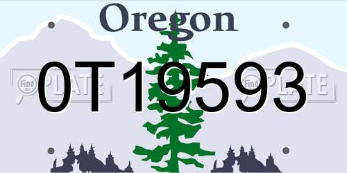 0T19593 Oregon License Plate