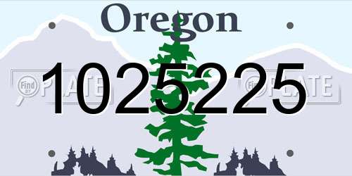 1025225 Oregon License Plate